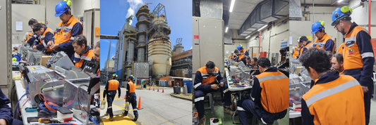 Proyecto de Integración en Planta Arauco - PGP 2023